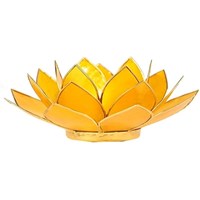 lotus chakra plexus solaire