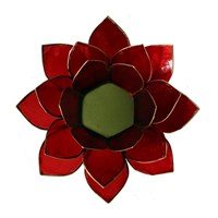 lotus chakra