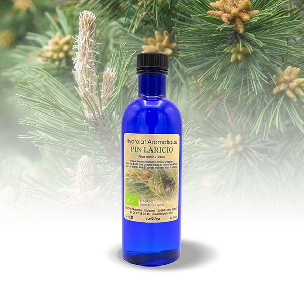hydrolat-aromatique-pin-laricio