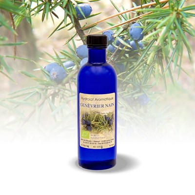 hydrolat-aromatique-genevrier-nain