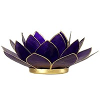 lotus chakra couronne