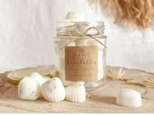 fondants coquillage S